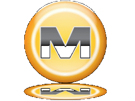 Istruzioni all'utilizzo di Megaupload