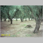 ConCob05_056.JPG