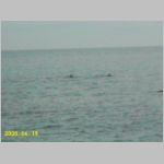 ConCob05_107.JPG