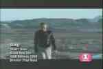 Sting-Desert Rose